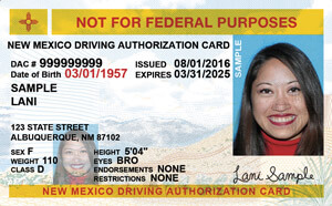 NM MVD driver's license